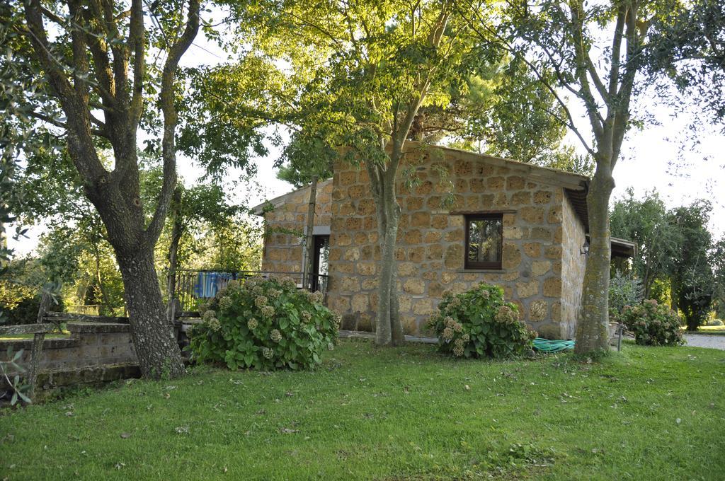 Agriturismo Buriano Lubriano Exterior photo